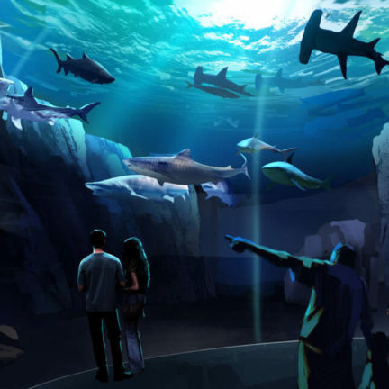 Georgia aquarium breaks ground on expansion 2020 1060x649