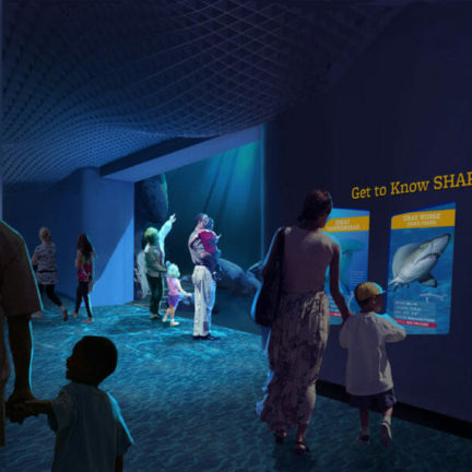 Georgia aquarium breaks ground on expansion 2020 4 1060x604