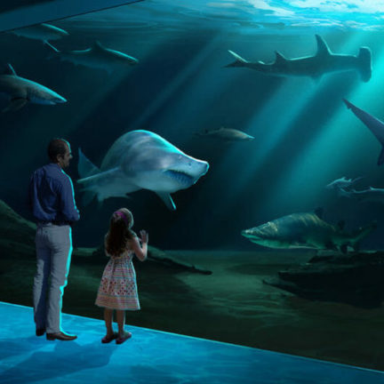 Georgia aquarium breaks ground on expansion 2020 5 1060x529