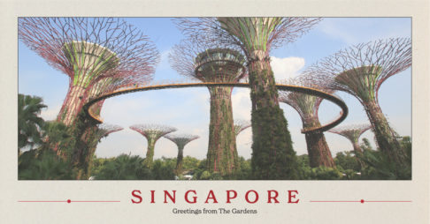 Pan-United Leads the Way with Low Carbon Concrete in Singapore Thumbnail