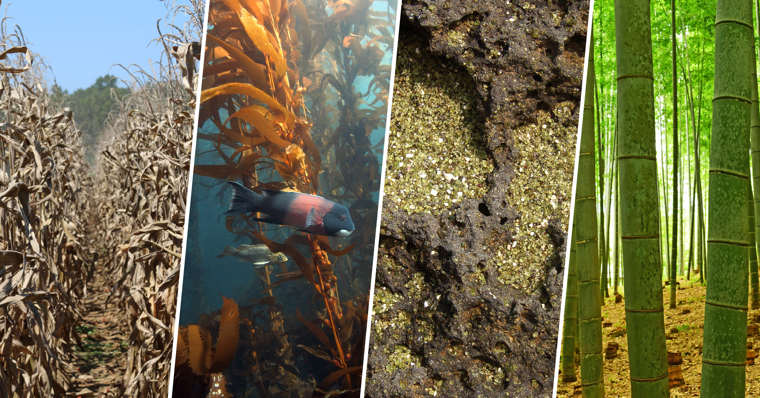 Beyond Carbon Neutral: CarbonCure’s Latest Investments to Manage our Carbon Footprint