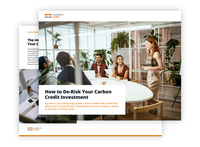 How to De-Risk Your Carbon Credit Investment Thumbnail
