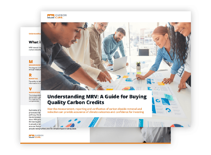 Understanding MRV: A Guide for Buying Quality Carbon Credits