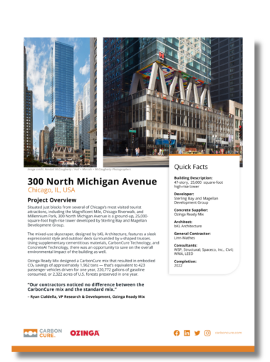 300 North Michigan Avenue Thumbnail