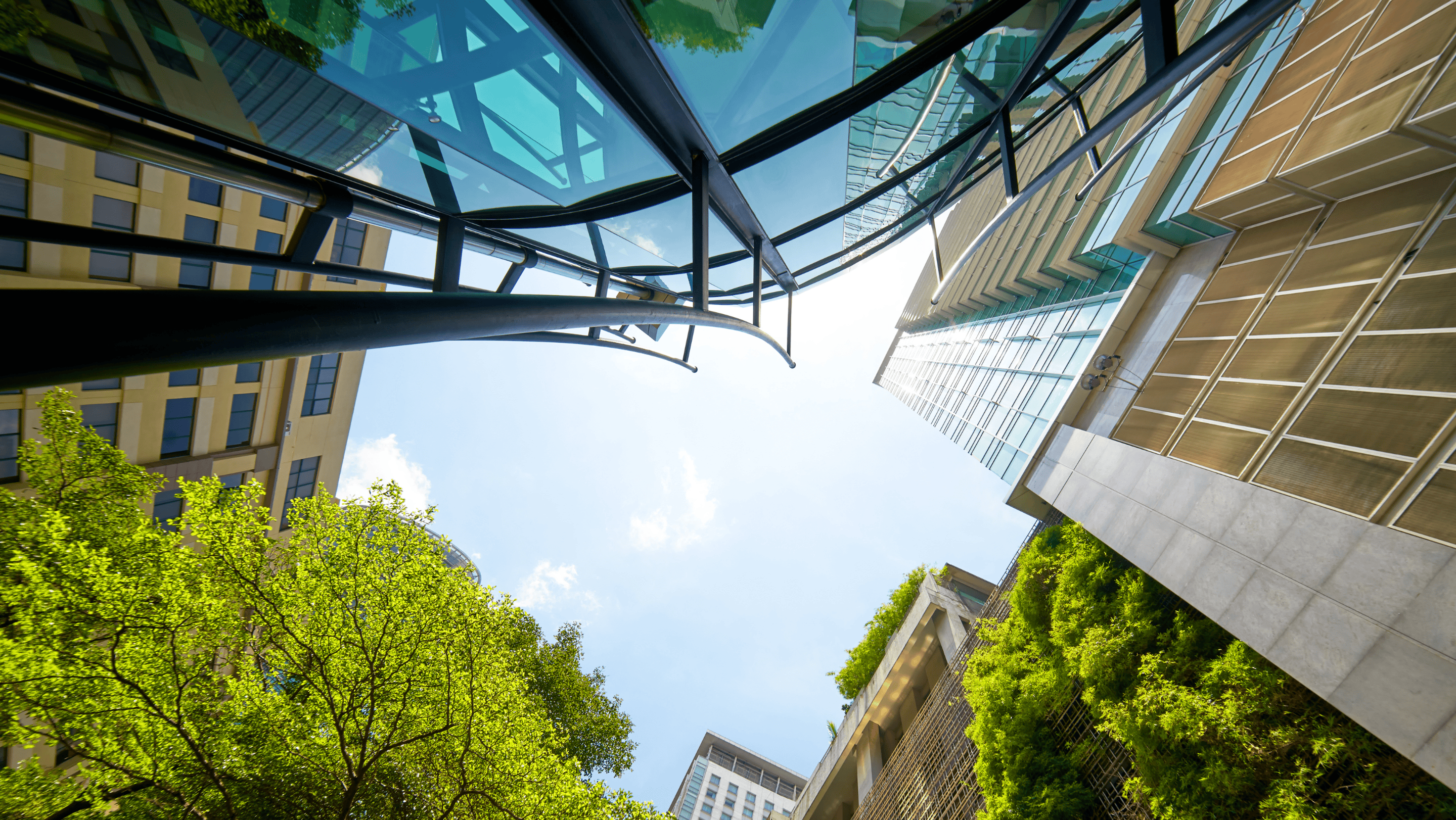 How SBTi’s New Standards Could Unlock Corporate Climate Potential