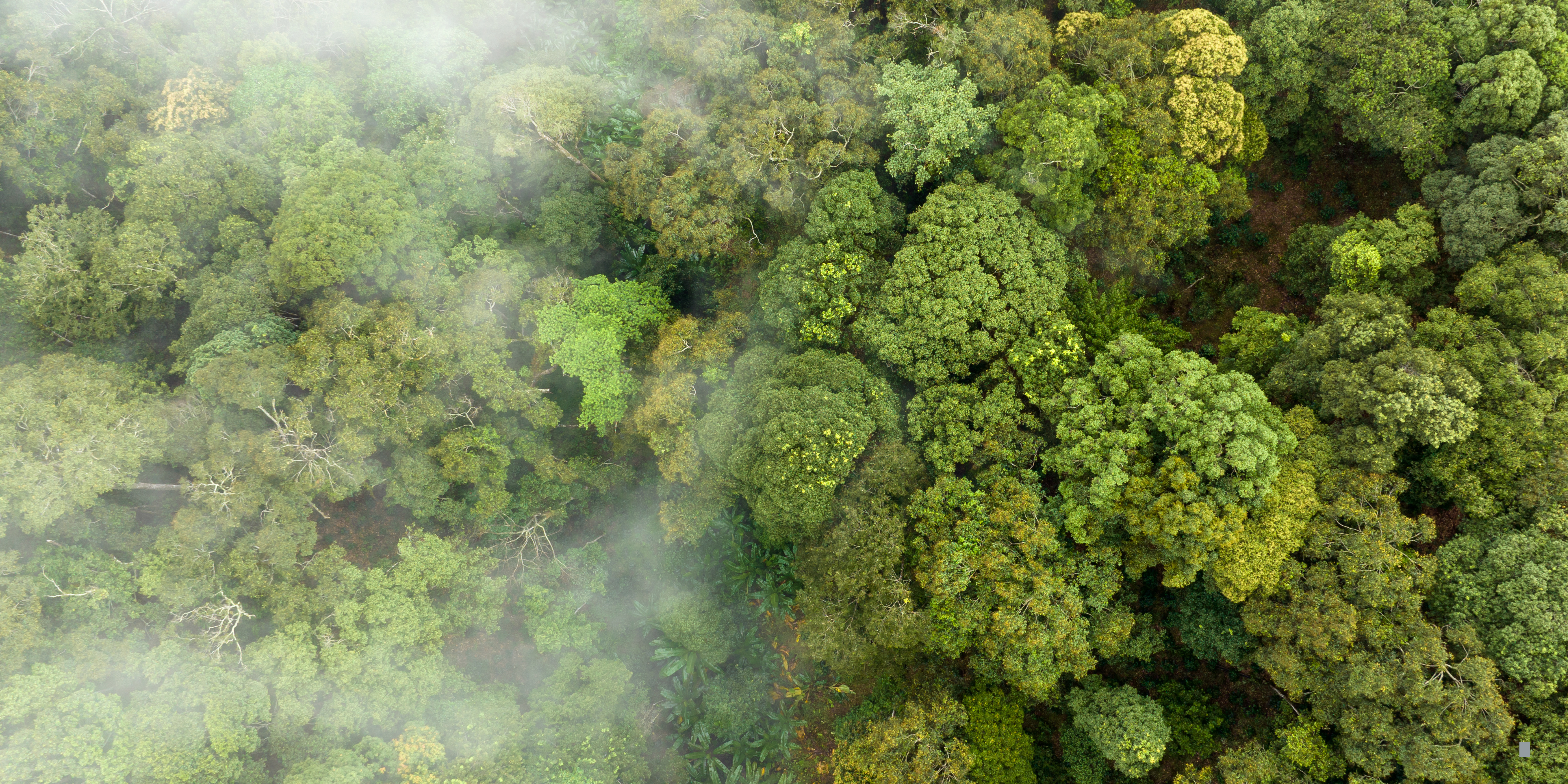 Carbon Jargon for Concrete Producers