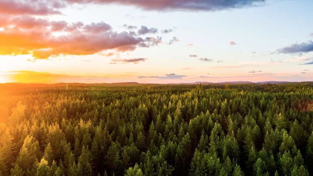 How QC Mangers Can Evaluate the Net Impact of CO₂ Mineralization Thumbnail