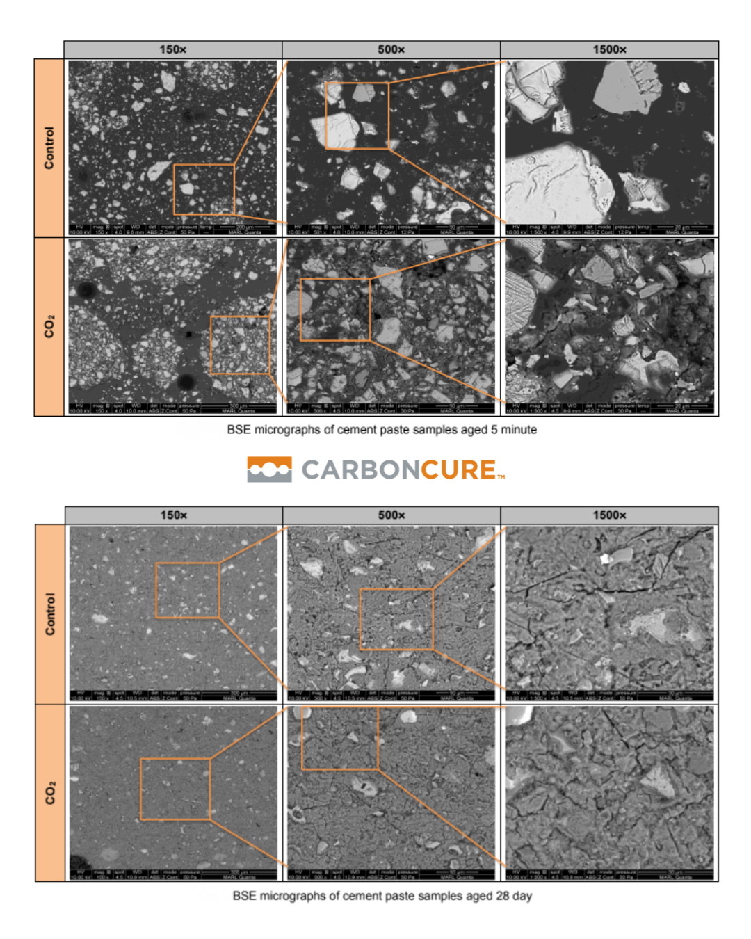 CO₂-injected cement paste: insights into microstructural and chemo-mechanical changes
